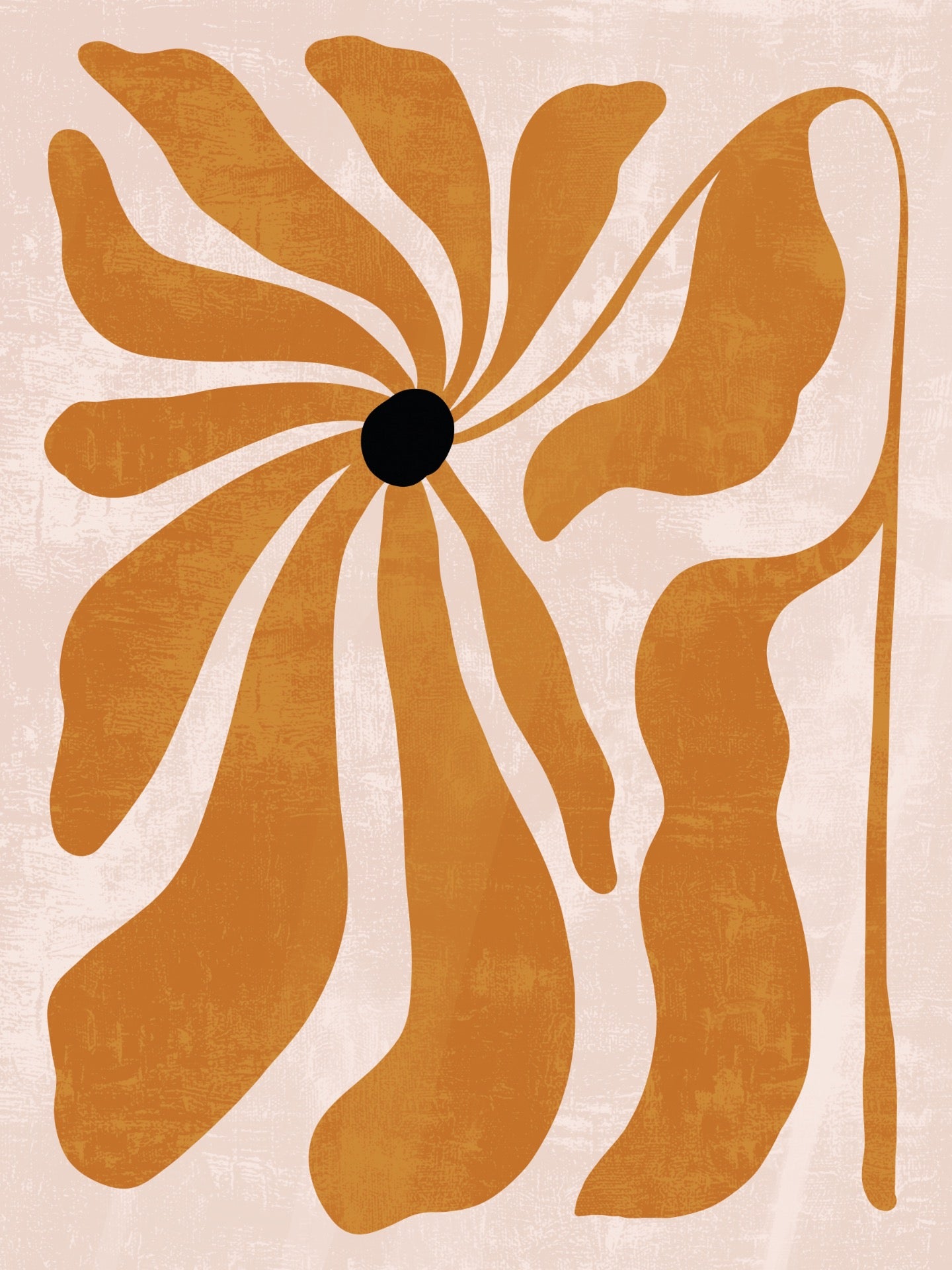 Bohemian - B194