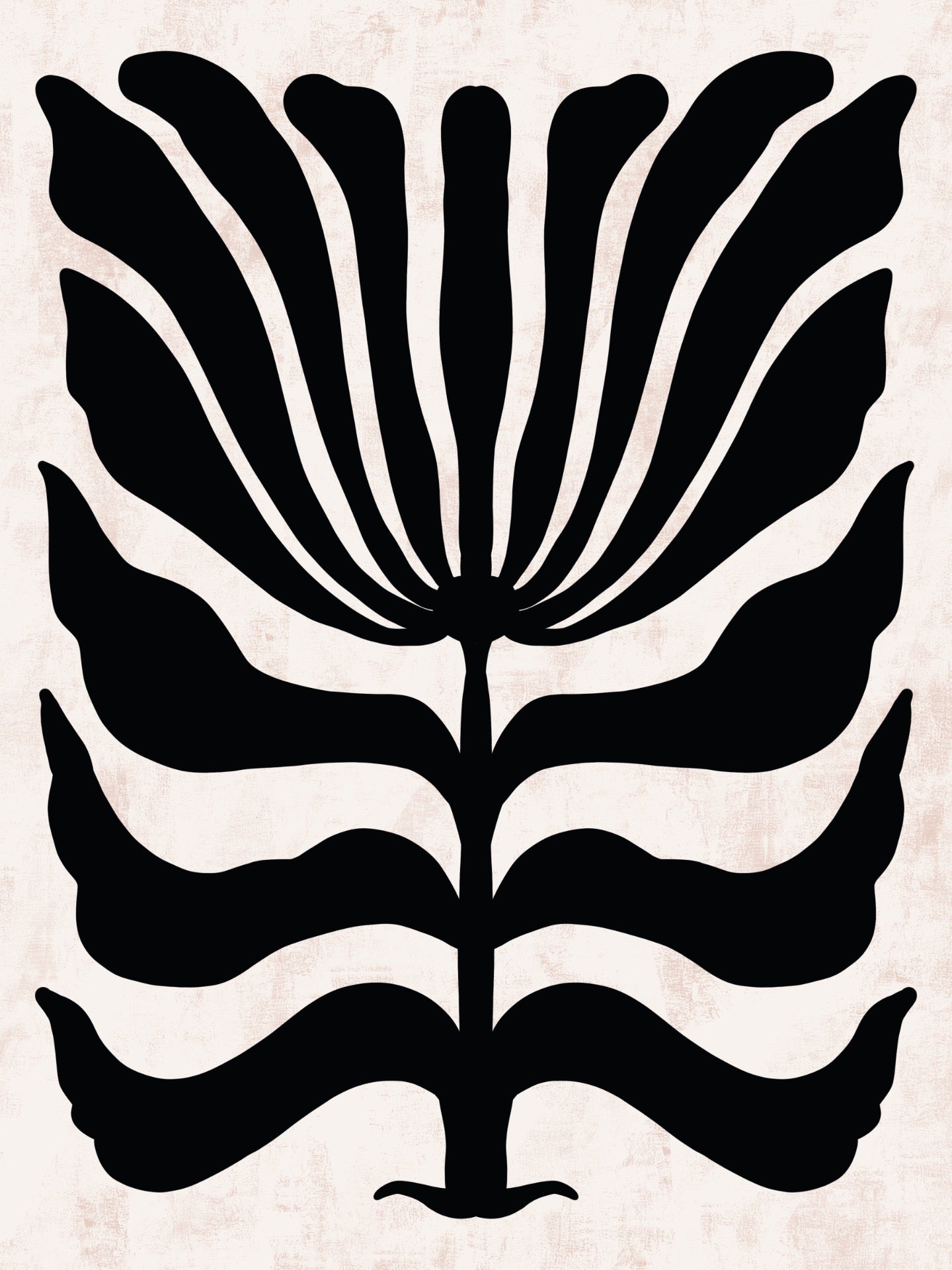 Bohemian - B200